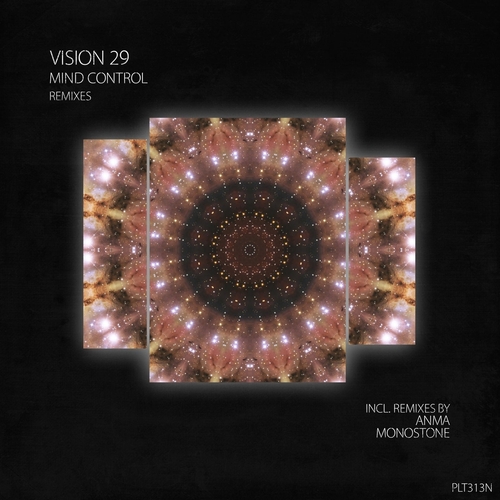 Vision 29 - Mind Control (The Remixes) [PLT313N]